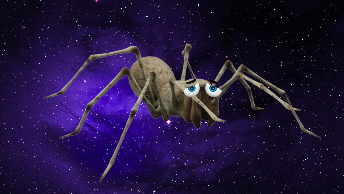 Spiders in space are so unhappy they can’t even build decent webs