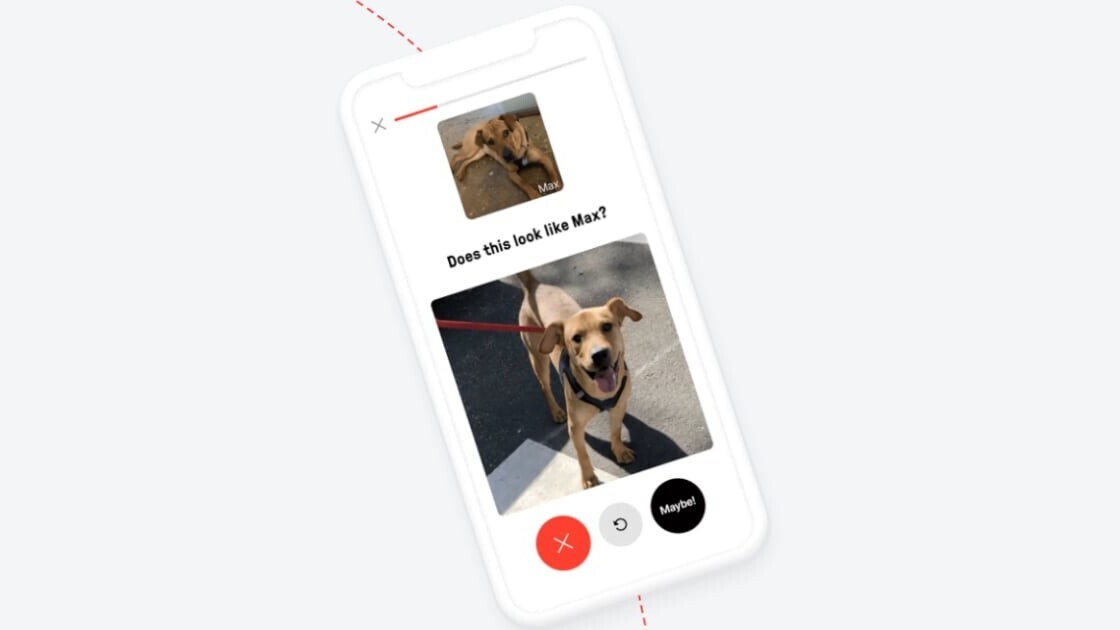 This app is helping reunite dogs with their owners using AI