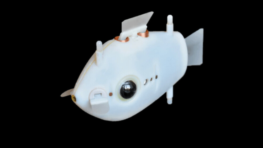 Swarms of robot fish could soon monitor our oceans for environmental hazards