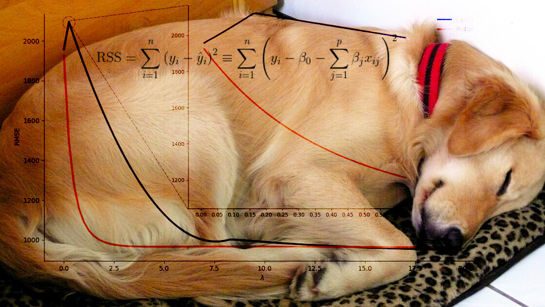 How to turn your dog’s nap time into a regularized linear model