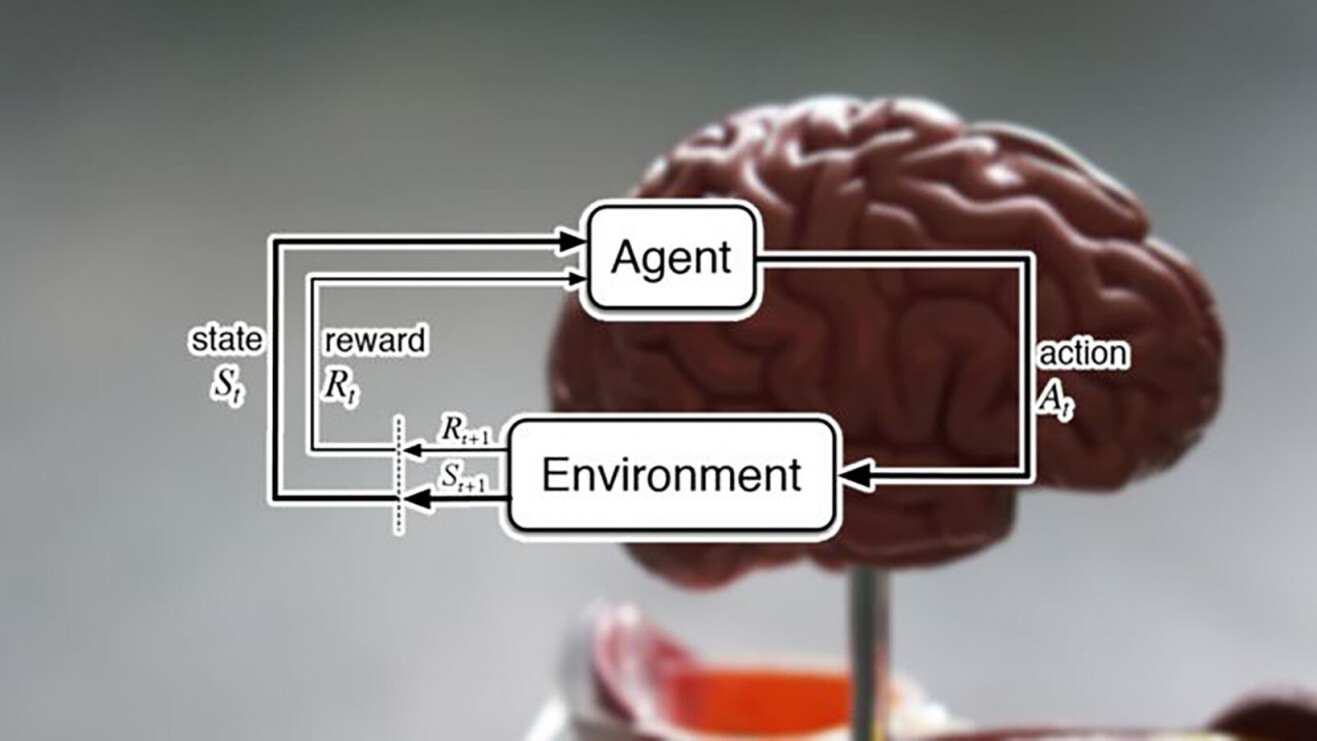 DeepMind researchers say reinforcement learning is the key to cracking general AI