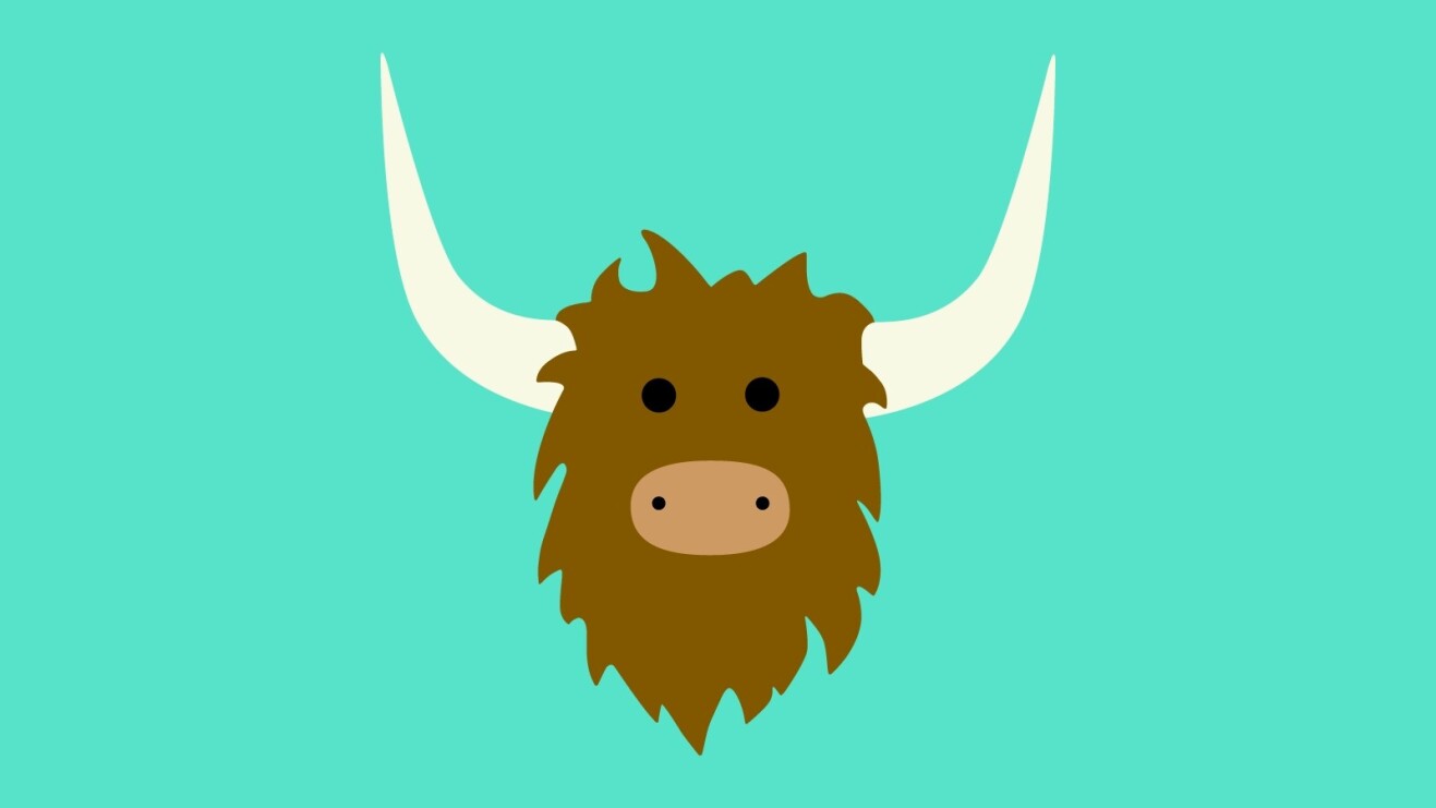 A brief history of YikYak — the anon platform making its return