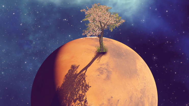 Scientists propose first steps toward creating life on Mars