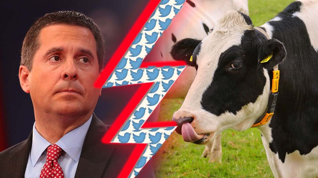 Trump’s censorship czar for TRUTH social media once sued a cow over Twitter beef