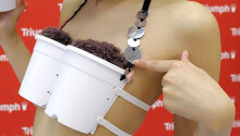 Plant a rice garden in your BRA!! FTW? Featured Image
