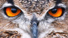 HootSuite for iPad is here! Featured Image