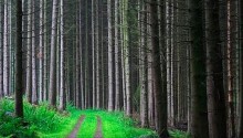 10 Start-Ups You’ve Definitely Never Heard Of Featured Image
