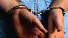 16-year-old leading member of LulzSec reportedly in custody after sting Featured Image
