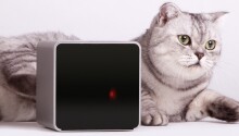 Life after Kickstarter: How Petcube is preparing its pet-focused gadget for the mass market Featured Image