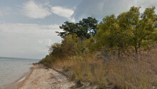 Google takes Street View inside Tanzania’s Gombe National Park, famous for its chimpanzees Featured Image