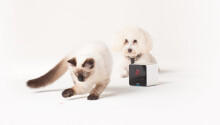 Petcube to start shipping its crowdfunded pet camera in time for Christmas Featured Image