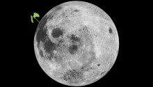 A cotton seed sprouted – and died – on China’s Lunar Lander
