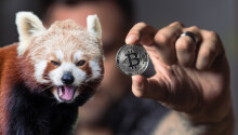 Welcome to the longest Bitcoin bear market in history