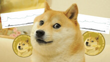 Meet the brave devs trying to take Dogecoin beyond the meme