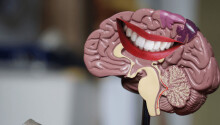 How to train your brain to release more happy chemicals