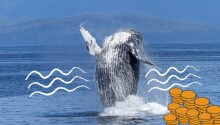Bitcoin whale moves ball busting $1.1B for just $83