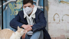 Here’s how researchers found coronavirus in a cat — but don’t panic