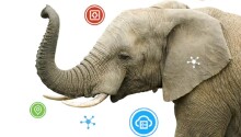 How AI can give endangered elephants a fighting chance