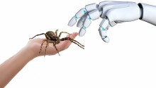 Scientists turn dead spiders into robots able to grip small objects Featured Image