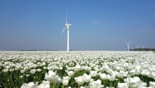 The Netherlands is the ideal breeding ground for green tech startups Featured Image