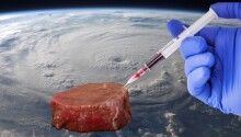 Cultivated meat is a ‘promising’ space food for astronauts, ESA says Featured Image