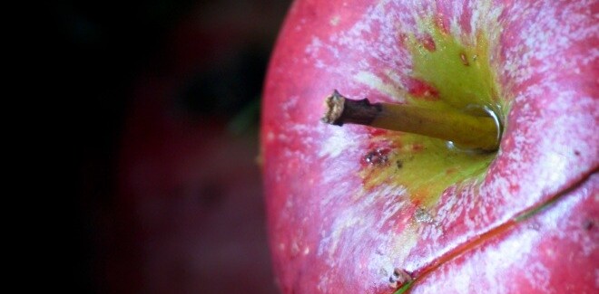 Apple co-founder Steve Wozniak gives jailbreaking the thumbs up, wishes iTunes supported Android