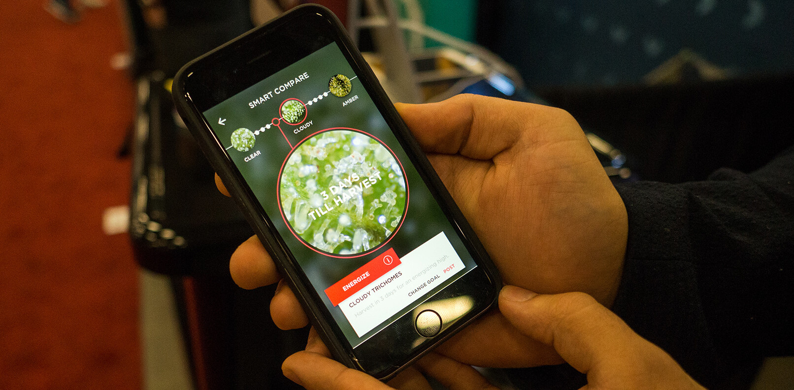 Snaphash is an augmented reality weed doctor for your iPhone