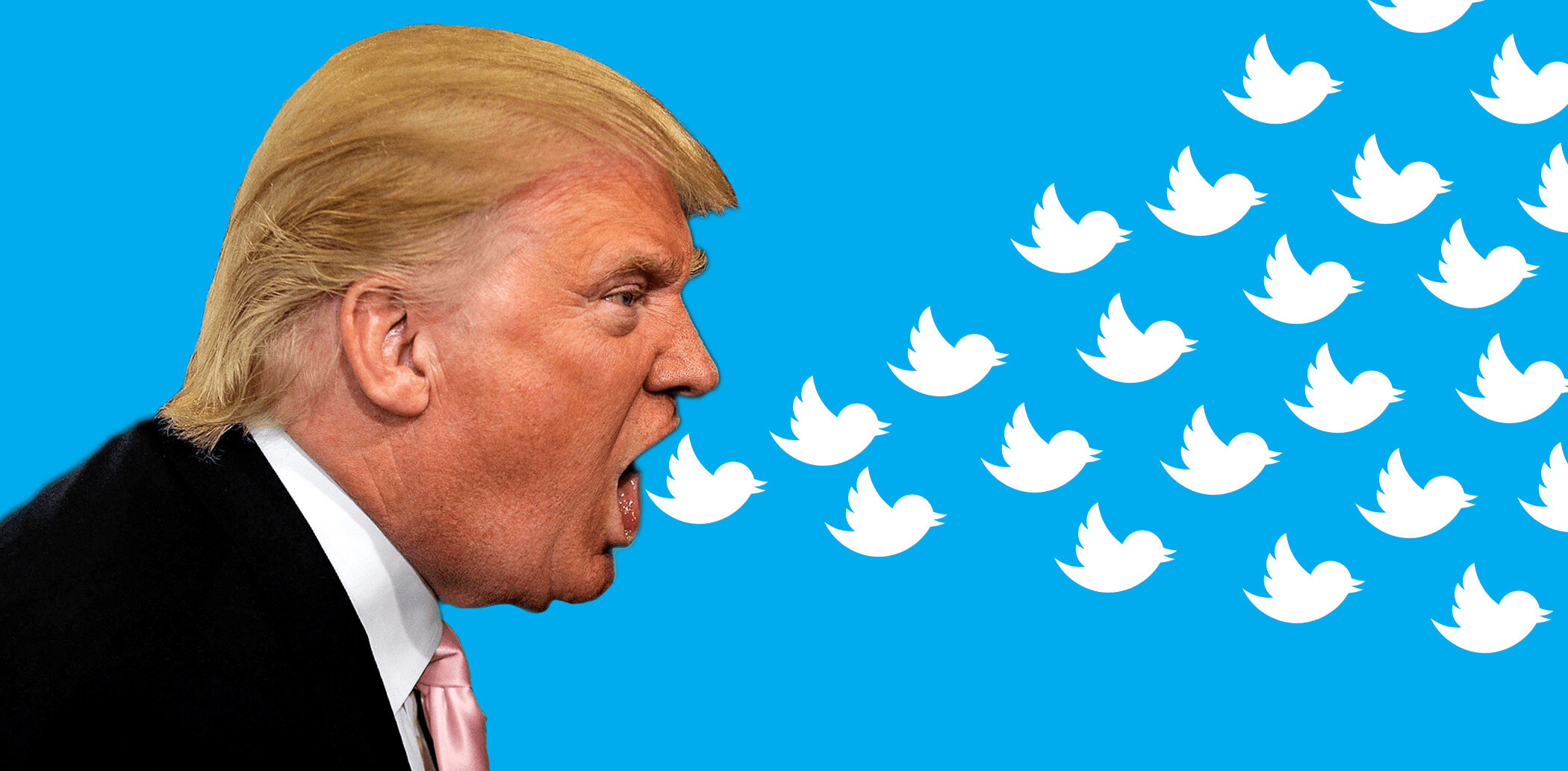 Divider in Chief: Trump tweets disgusting conspiracy theory about elderly man assaulted by cops