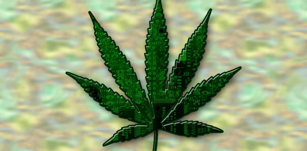 Here’s what the actual research says about the dangers of cannabis use