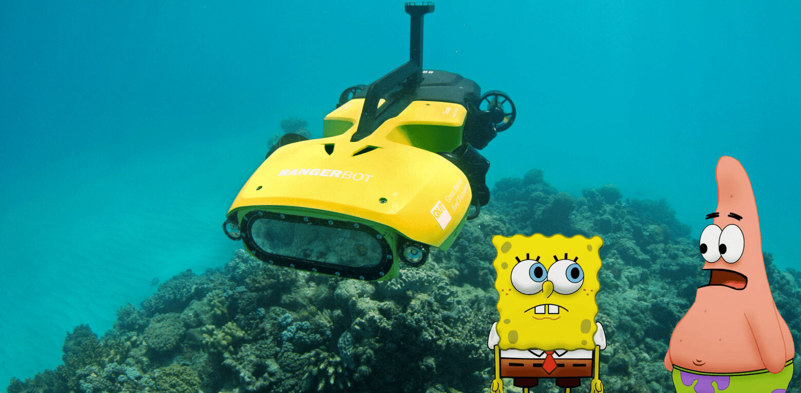 This underwater death machine has one mission: Destroy the starfish