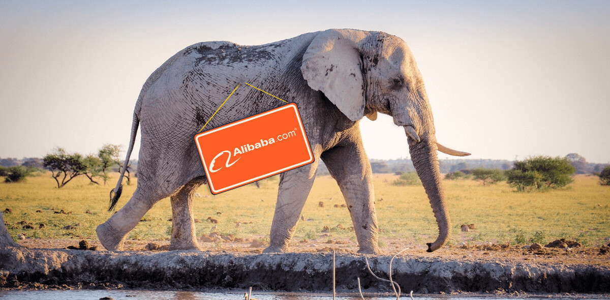 September in Africa: Alibaba saves wildlife and Google Partners comes to Nigeria