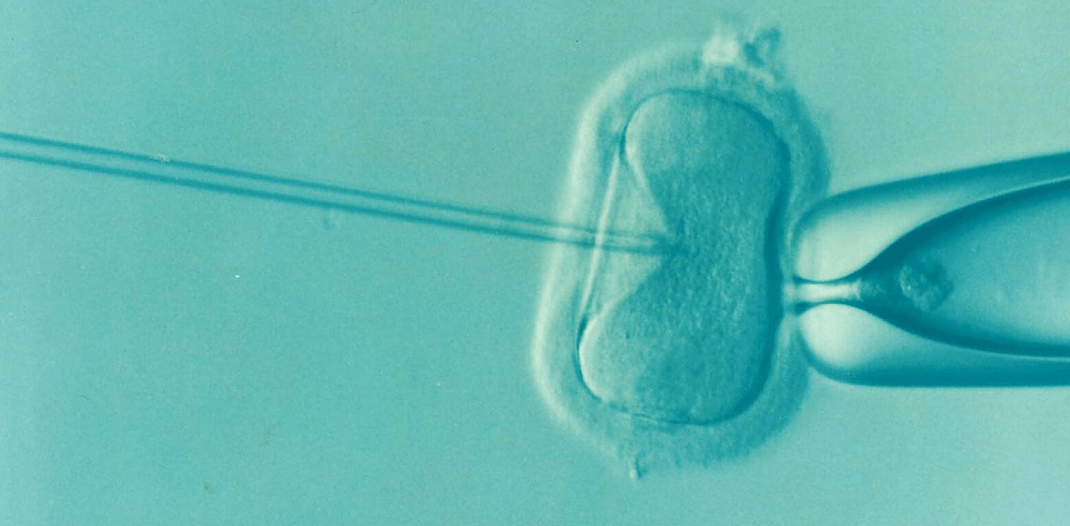 Controversial new test could be used to screen embryos for intelligence