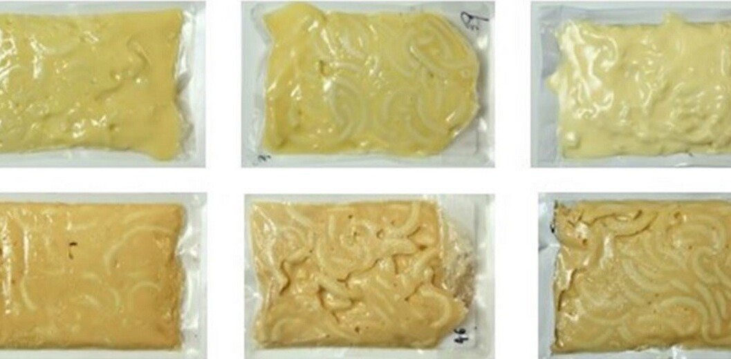 Yes, there will be macaroni and cheese on Mars