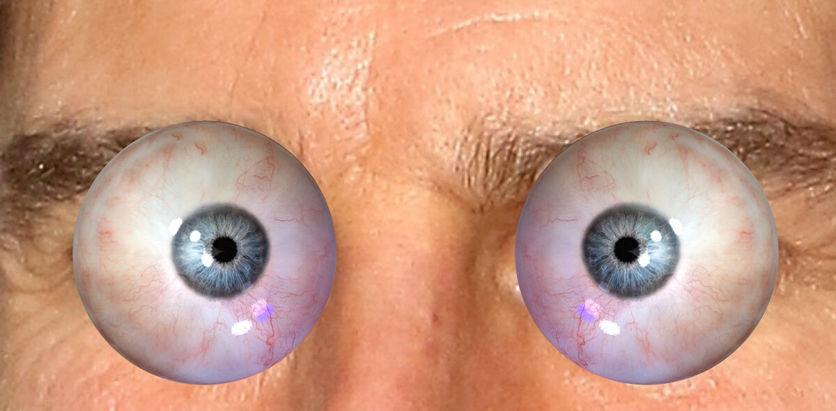 Violent stalker finds Japanese artist’s home by zooming in on her eye
