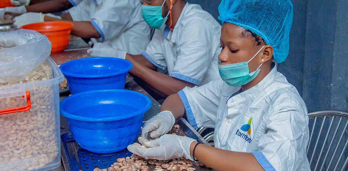 How affordable agricultural technology is solving food insecurity in Nigeria