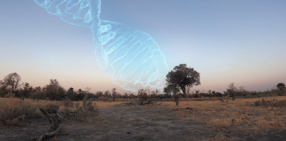 Research: DNA pinpoints region in northern Botswana as humanity’s birthplace
