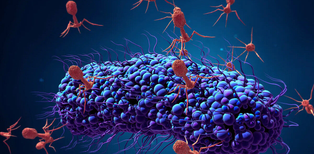 Scientists are reengineering viruses to fight antibiotic resistance
