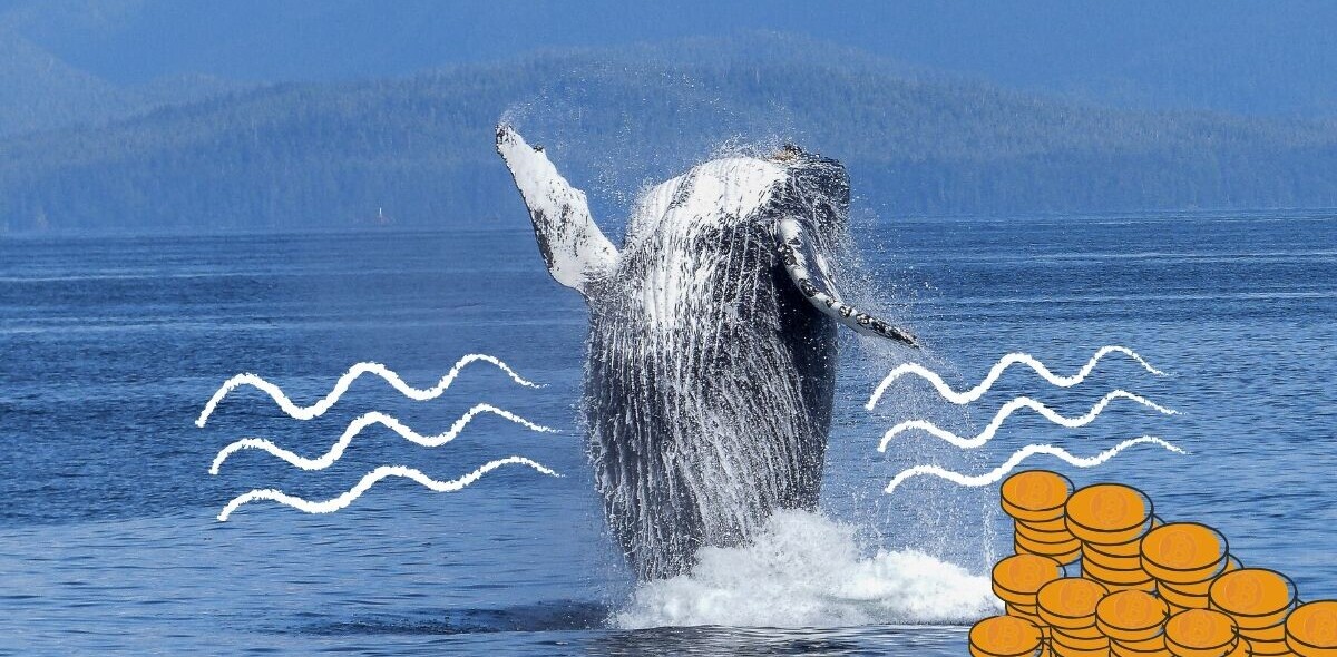 Bitcoin whale moves ball busting $1.1B for just $83