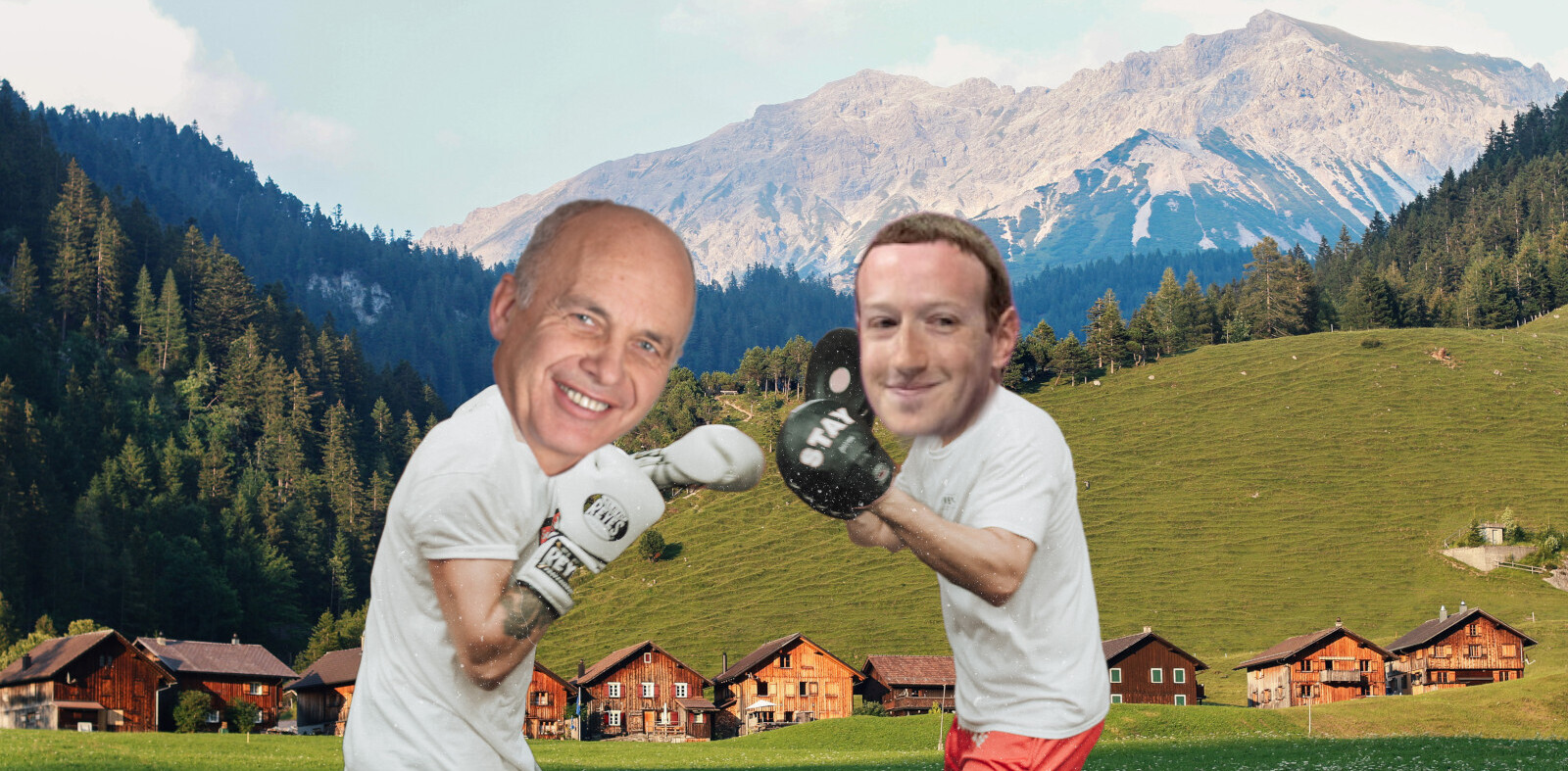 Swiss president: ‘Libra has failed’