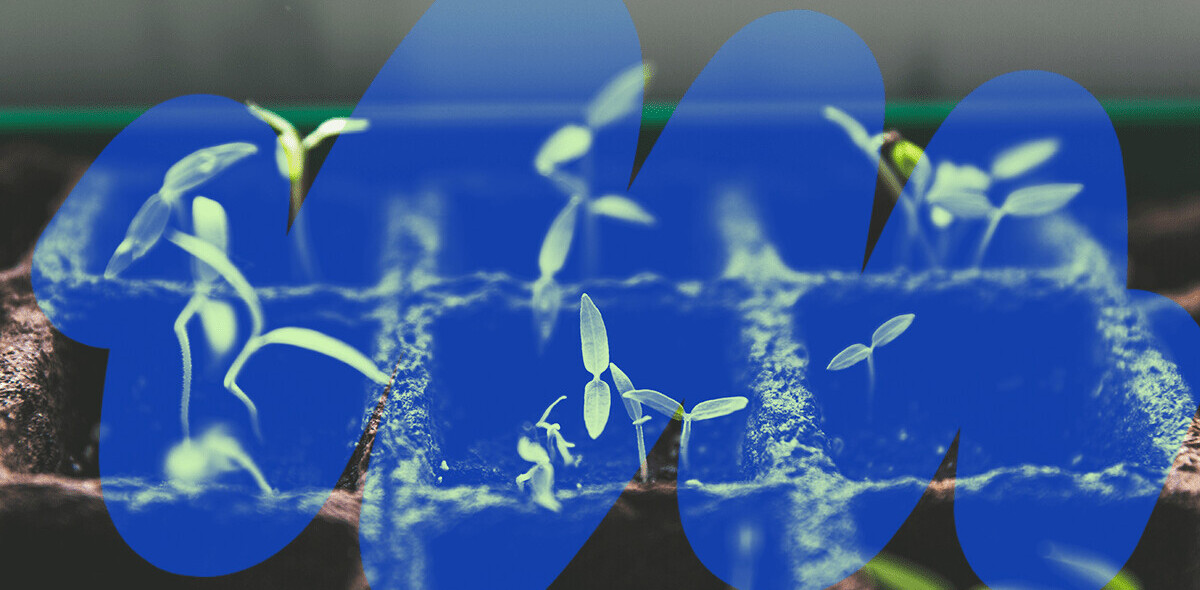 Growth hacking is BS — here are 3 tips for sustainable growth instead