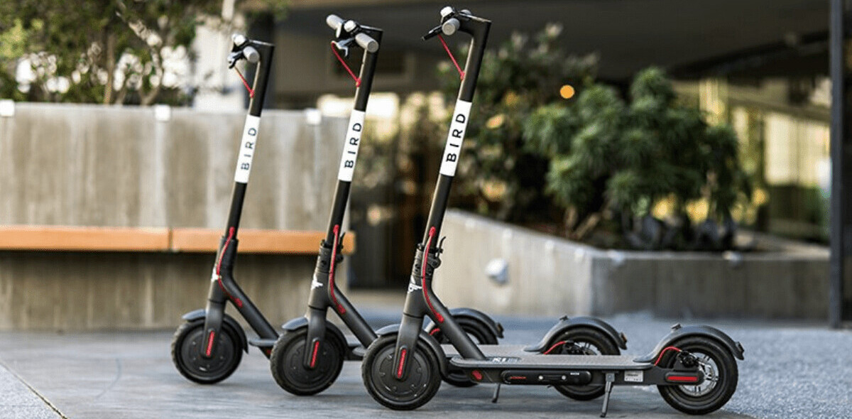 Bird now cleans its shared scooters way more often for safer rides
