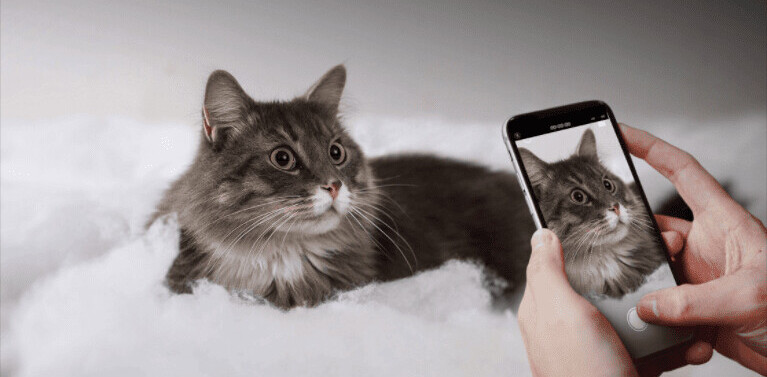 Apple will finally let you switch resolution and frame rate directly from the camera app