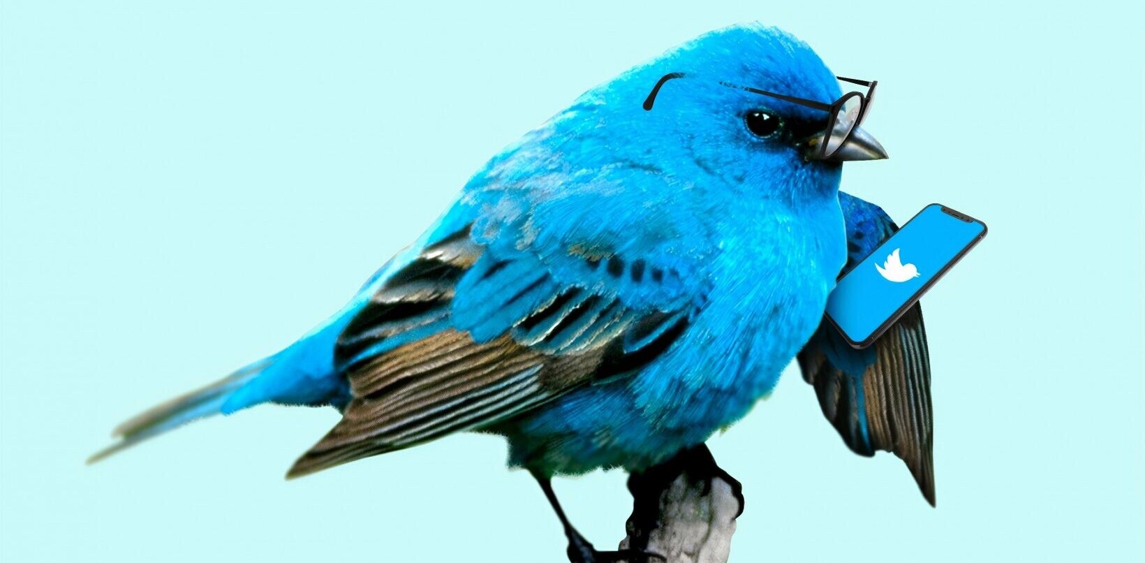 130 Twitter accounts were targeted by hackers in the grand Bitcoin scam