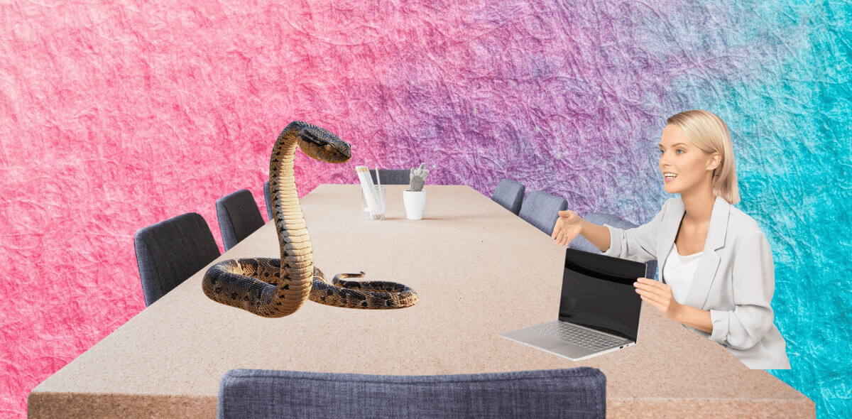 Why Python is not the programming language of the future