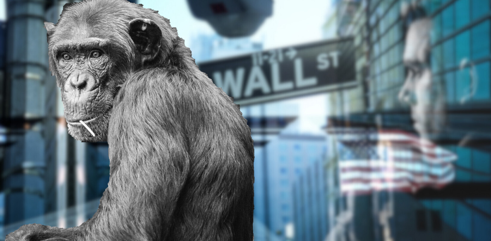 Remembering Raven Thorogood III: The chimp that smoked Wall Street
