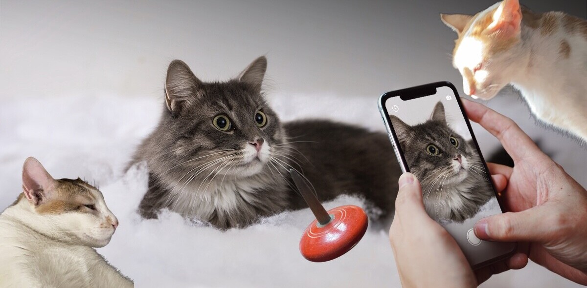 This app lets you ‘cut-and-paste’ real life objects
