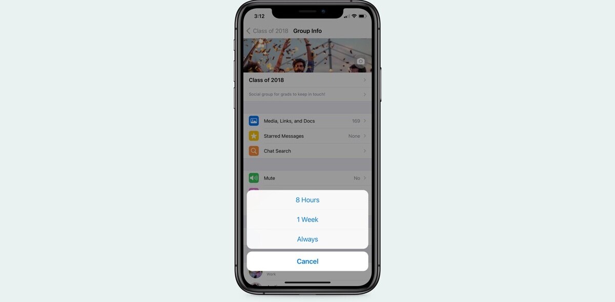 WhatsApp now lets you mute a chat FOREVER — here’s how you can do it