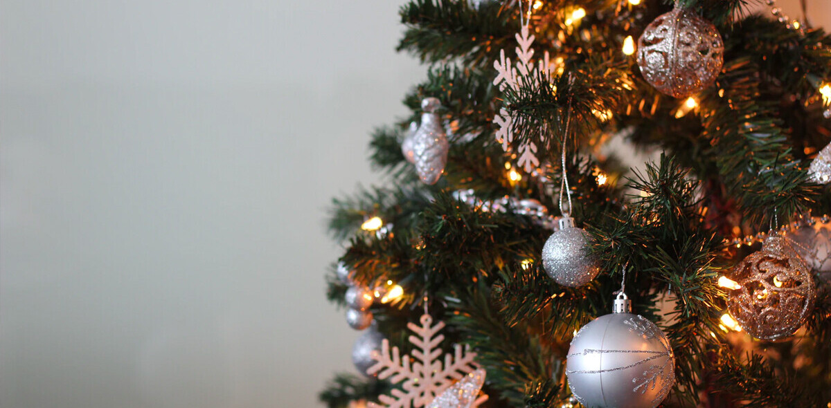 How to check your Christmas tree’s carbon footprint