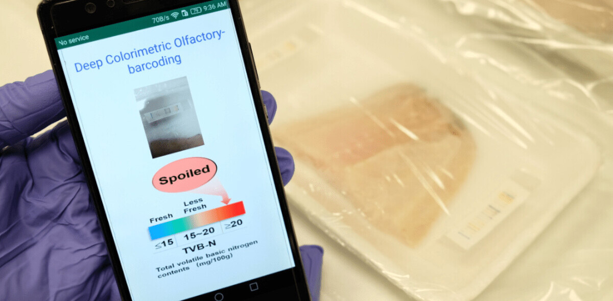 This AI-powered ‘electronic nose’ can sniff out rotten meat