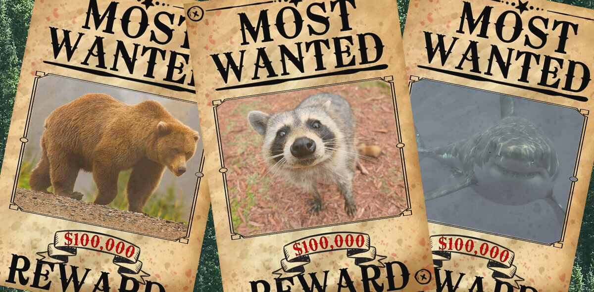 We should hold animals accountable for their crimes. Here’s how AI can help